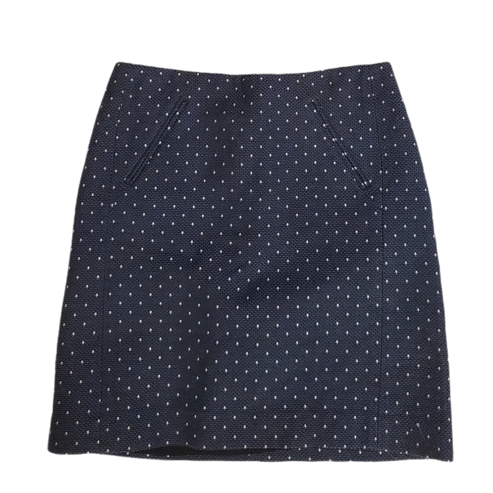 🔥SALE🔥LOFT Blue And White Polka Dot Back Zip Skirt 00